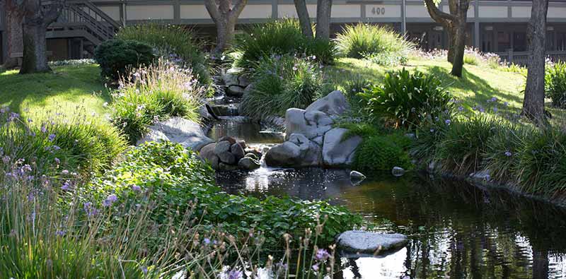 Outdoor Office Water Feature